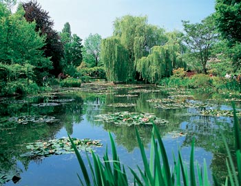 Giverny and Trees